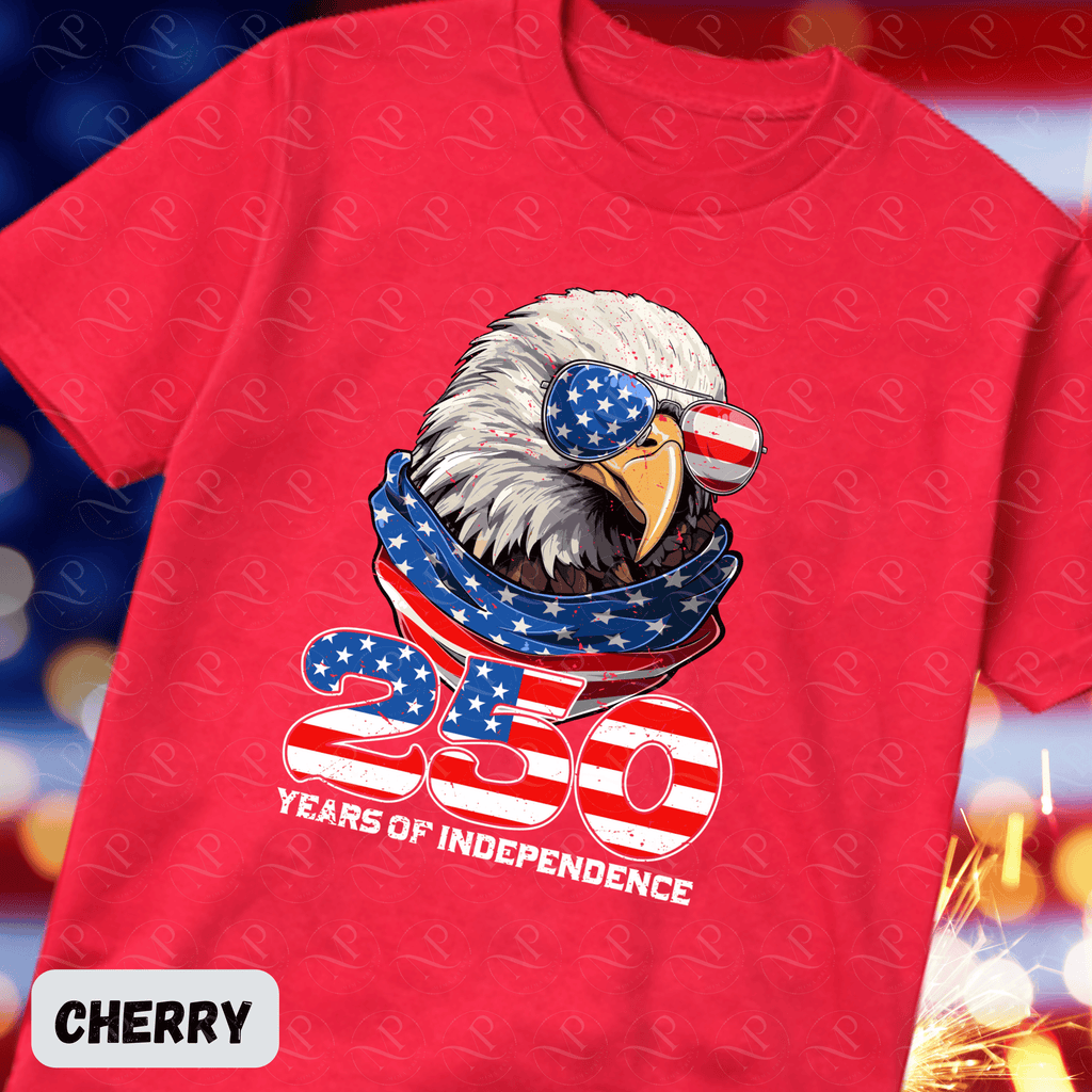 Cool Eagle 250 Years of Independence Tee
