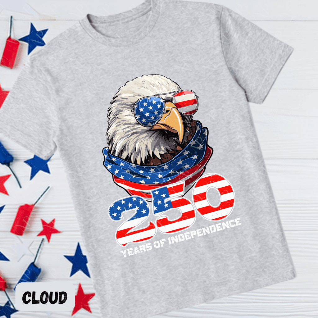Cool Eagle 250 Years of Independence Tee