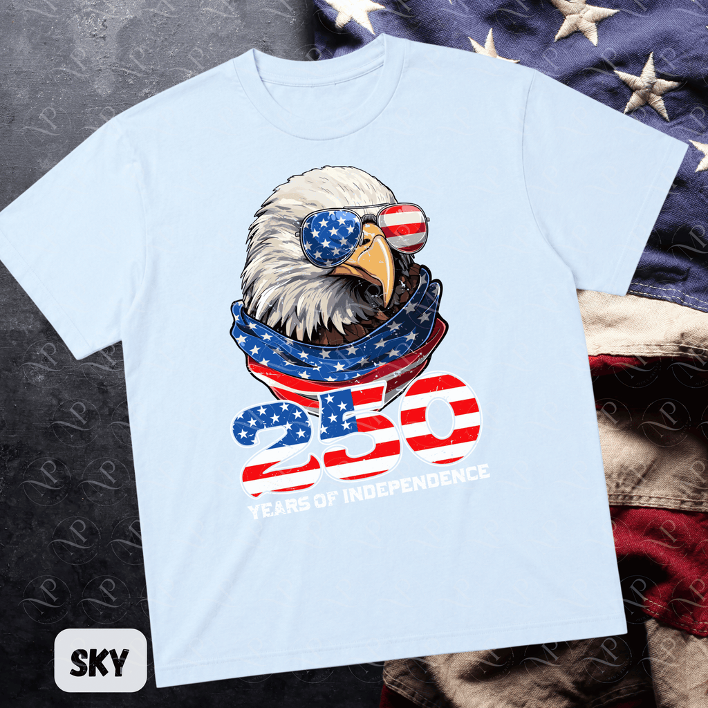 Cool Eagle 250 Years of Independence Tee