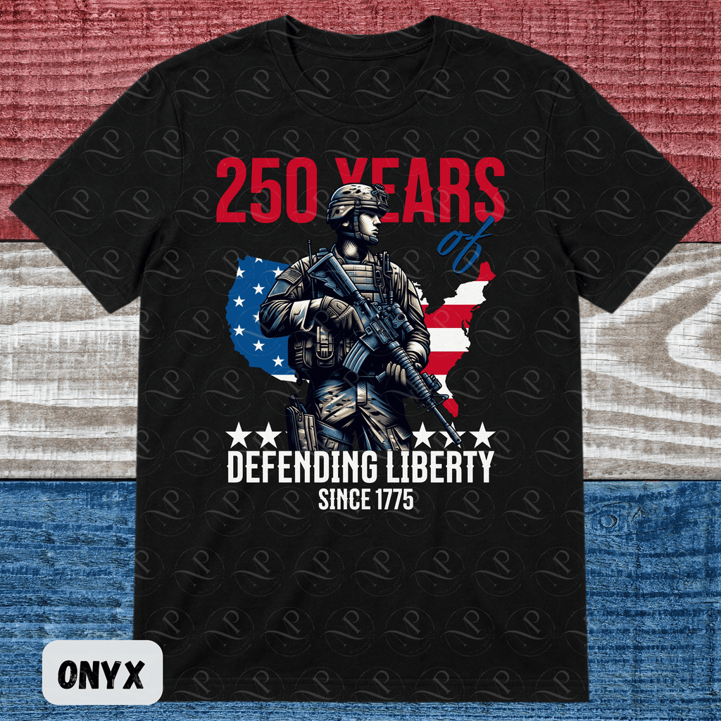 Defending Liberty Soldier