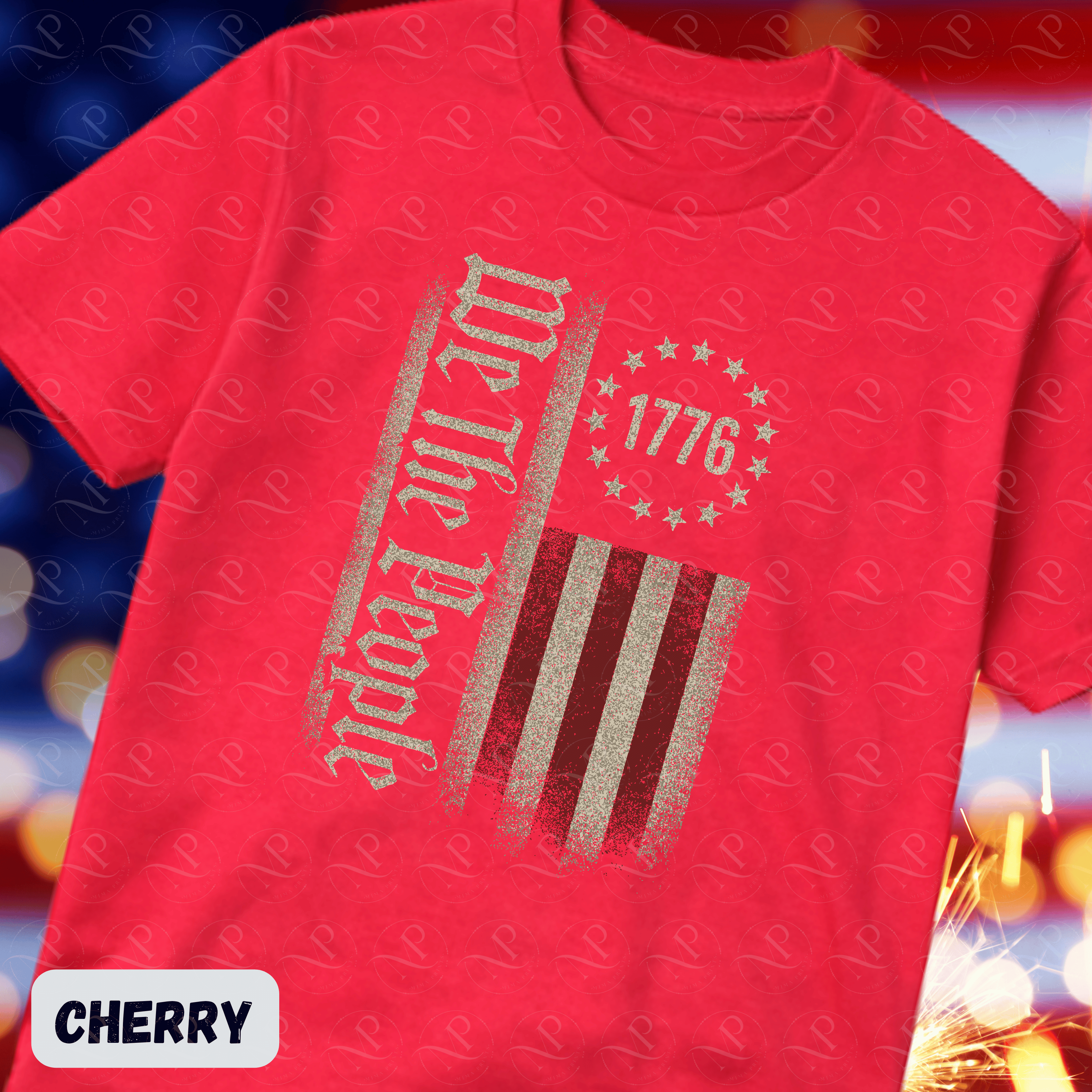 We The People Vintage Flag