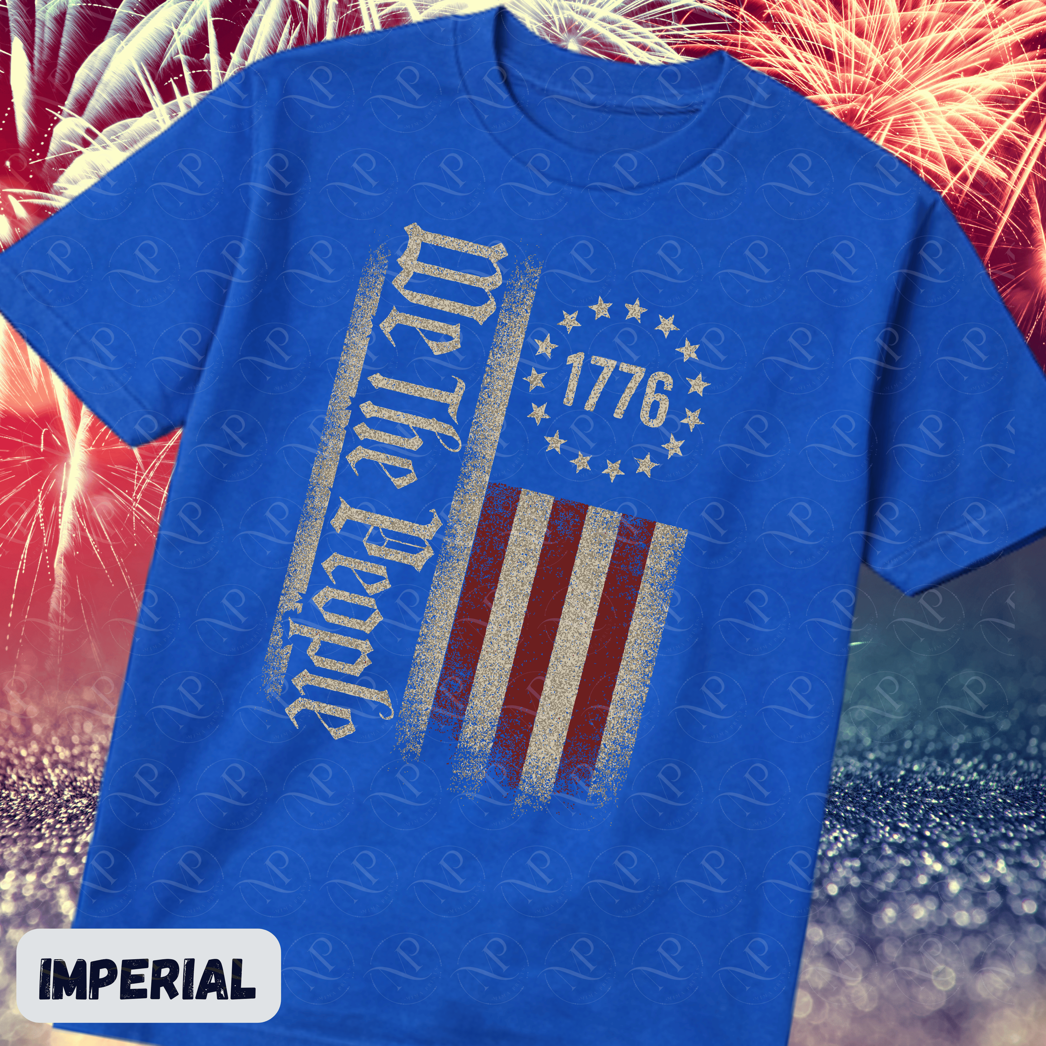 We The People Vintage Flag